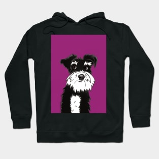 Dante the Black and White Miniature Schnauzer Dog Hoodie